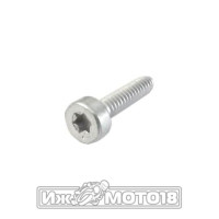 Винт с цилиндрической головкой IS-D5 х 24 нижней крышки цилиндра Stihl 180 (9075 478 4159)