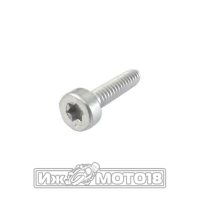 Винт крепления ручки FS300-450 (4128-790-7501)